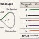 Termokupl Sıcaklık Sensörü